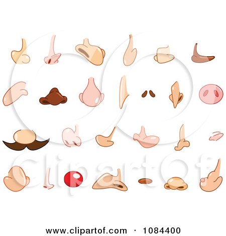 Clipart Many Different Noses - Royalty Free Vector Illustration by yayayoyo