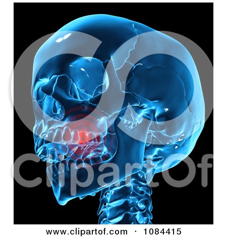 Clipart 3d Blue Skull With A Tooth Ache - Royalty Free CGI Illustration by Mopic
