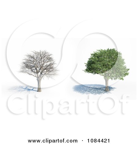 Clipart 3d Bare And Full Trees - Royalty Free CGI Illustration by Mopic
