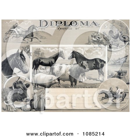 Agricultural Diploma With Jockeys Racing Horses, Livestock, Produce And Farming Tools - Royalty Free Stock Illustration by JVPD
