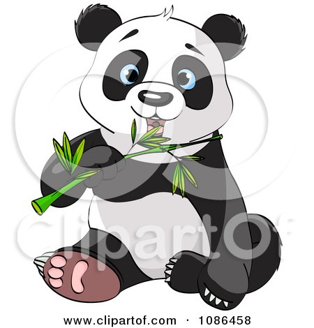 Clipart Cute Panda Sitting And Chewing On Bamboo - Royalty Free Vector Illustration by Pushkin