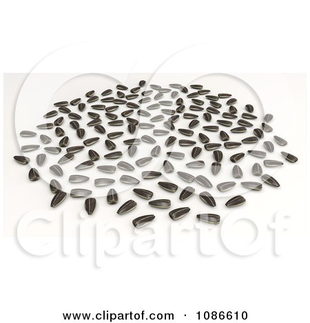 Clipart 3d Scattered Sunflower Seeds - Royalty Free CGI Illustration by Leo Blanchette