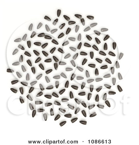 Clipart 3d Sunflower Seeds - Royalty Free CGI Illustration by Leo Blanchette