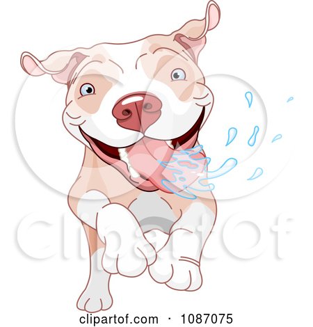 Clipart Excited Pit Bull Dog Running And Drooling - Royalty Free Vector Illustration by Pushkin