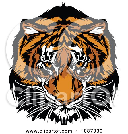 Clipart Tiger Mascot Staring Intensely - Royalty Free Vector Illustration by Chromaco