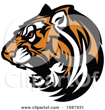 Clipart Fierce Growling Tiger Head Mascot - Royalty Free Vector Illustration by Chromaco