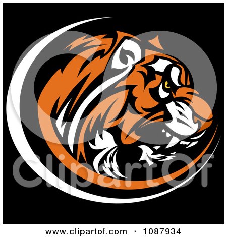 Clipart Aggressive Tiger Head Profile Mascot On Black - Royalty Free Vector Illustration by Chromaco