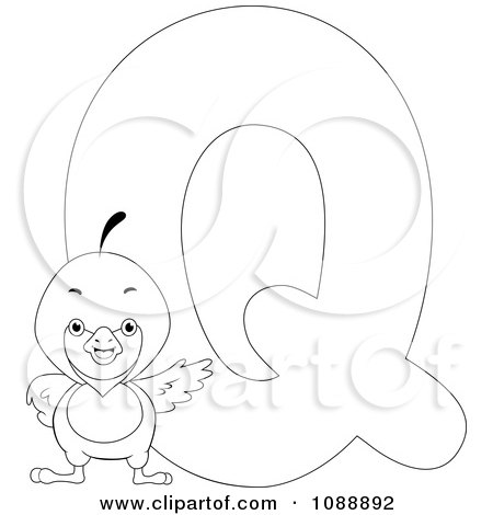 Clipart Outlined Q Is For Quail Coloring Page - Royalty Free Vector Illustration by BNP Design Studio