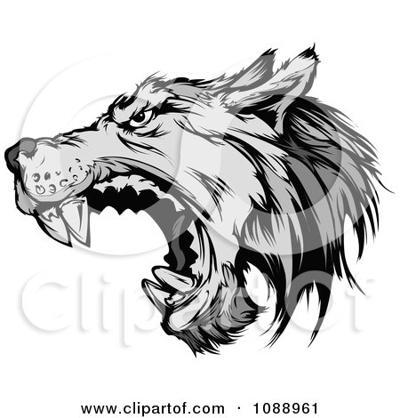 Clipart Attacking Wolf Mascot - Royalty Free Vector Illustration by Chromaco