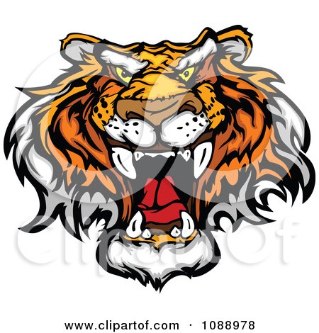 Clipart Mad Tiger Mascot Face - Royalty Free Vector Illustration by Chromaco