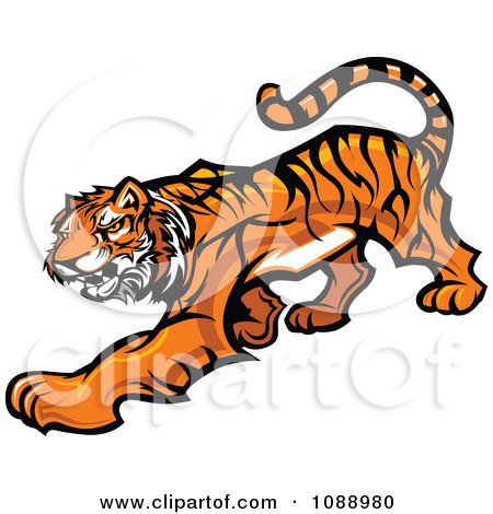 Clipart Tiger Mascot Stalking - Royalty Free Vector Illustration by Chromaco