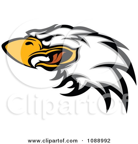 Clipart Attacking Bald Eagle Mascot Face - Royalty Free Vector Illustration by Chromaco