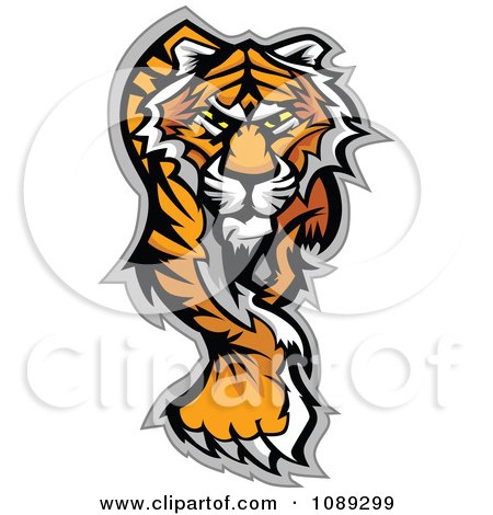 Clipart Walking Tiger Mascot - Royalty Free Vector Illustration by Chromaco