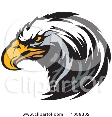 Clipart Bald Eagle Mascot Head Focused - Royalty Free Vector Illustration by Chromaco