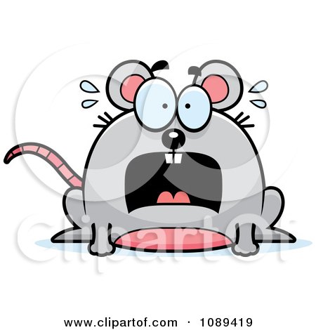 scared mouse