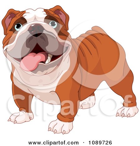 Cute English Bulldog Standing Posters, Art Prints