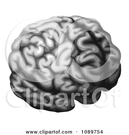 Clipart Grayscale Brain - Royalty Free Vector Illustration by AtStockIllustration