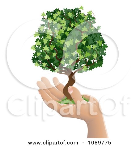 Clipart Human Hand Holding A Lush Green Tree - Royalty Free Vector Illustration by AtStockIllustration