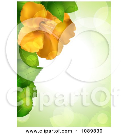 Clipart 3d Yellow Hibiscus Flower And Leaves Border Over Green With Flares - Royalty Free Vector Illustration by elaineitalia