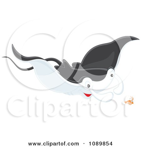 Clipart Ray Chasing A Shrimp - Royalty Free Vector Illustration by Alex Bannykh