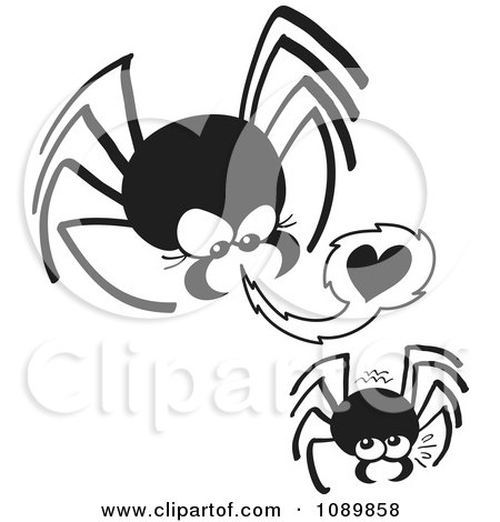 Clipart Dangerous Black Spider Trying To Seduce A Mate - Royalty Free Vector Illustration by Zooco