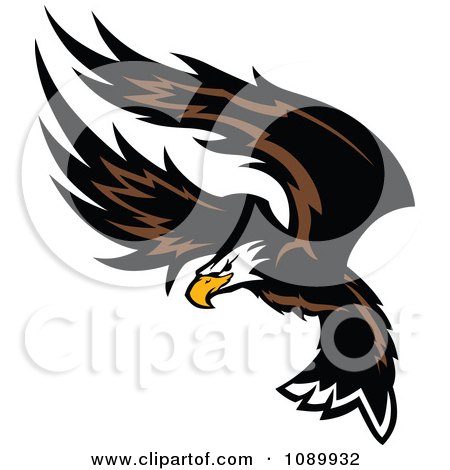 Clipart American Bald Eagle Flapping Its Wings - Royalty Free Vector Illustration by Chromaco