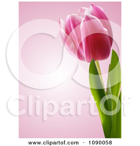 Clipart 3d Spring Tulip Flower Over Pink - Royalty Free Vector Illustration by elaineitalia