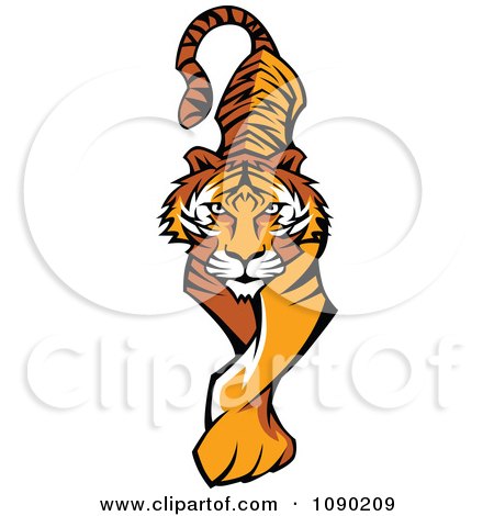 Clipart Prowling Tiger Mascot Walking Forward - Royalty Free Vector Illustration by Chromaco