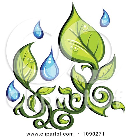 Clipart Organic Leaves And Falling Rain Drops - Royalty Free Vector Illustration by Chromaco