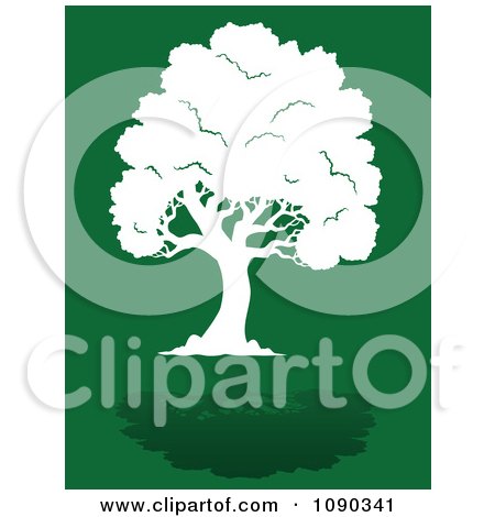 Clipart Lush White Tree Silhouette And Reflection On Green - Royalty Free Vector Illustration by visekart