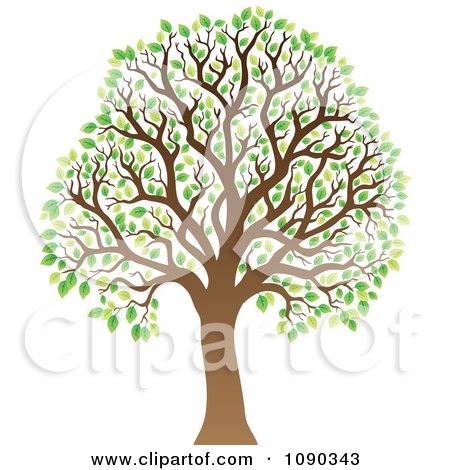 Clipart Tree With Green Spring Leaves - Royalty Free Vector Illustration by visekart