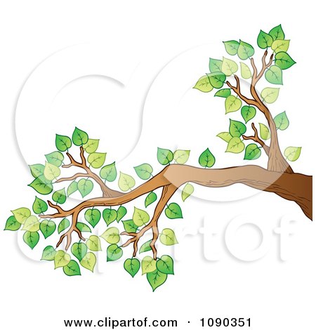 Clipart Tree Branch With Green Spring Foliage - Royalty Free Vector Illustration by visekart