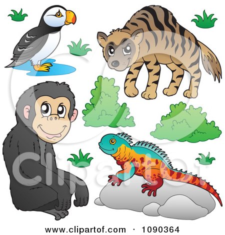 Clipart Puffin Bird Monkey Lizard And Hyena Zoo Animals - Royalty Free Vector Illustration by visekart