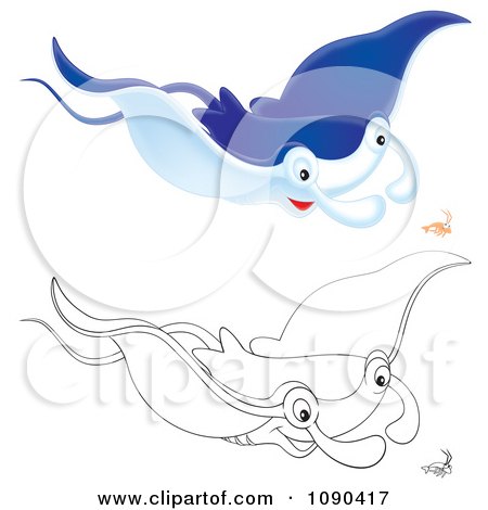 Clipart Colored And Outlined Mantaa Rays Swimming With Shrimp - Royalty Free Illustration by Alex Bannykh