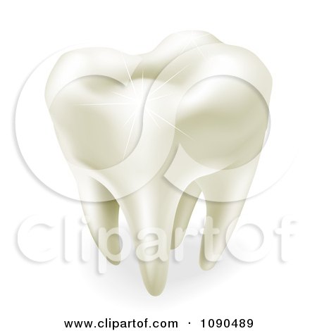 Clipart 3d Sparkling White Wisdom Or Molar Tooth - Royalty Free Vector Illustration by AtStockIllustration