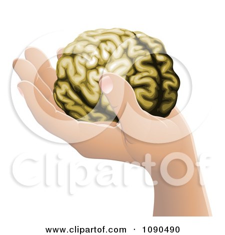 Clipart Human Hand Holding A Brain - Royalty Free Vector Illustration by AtStockIllustration
