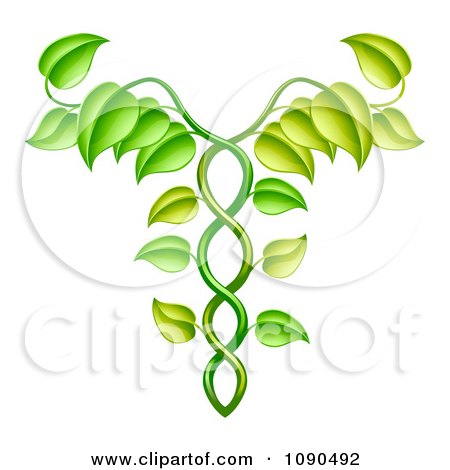 Clipart Green Vine Forming An Alternative Medicine Caduceus - Royalty Free Vector Illustration by AtStockIllustration