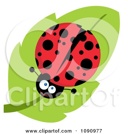 Clipart Smiling Lady Bug On A Leaf - Royalty Free Vector Illustration by Hit Toon