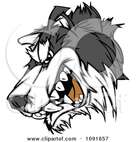 Clipart Snarling Husky Mascot Head - Royalty Free Vector Illustration by Chromaco