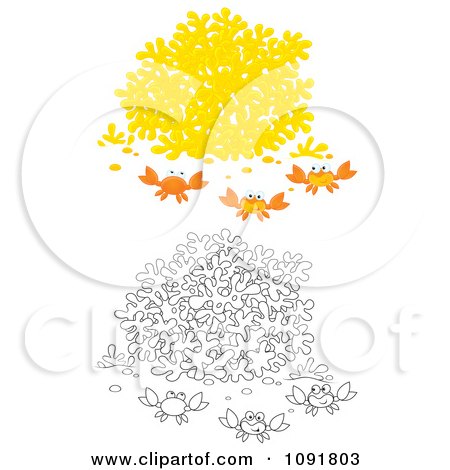 Clipart Outlined And Colored Sea Coral And Crabs - Royalty Free Illustration by Alex Bannykh