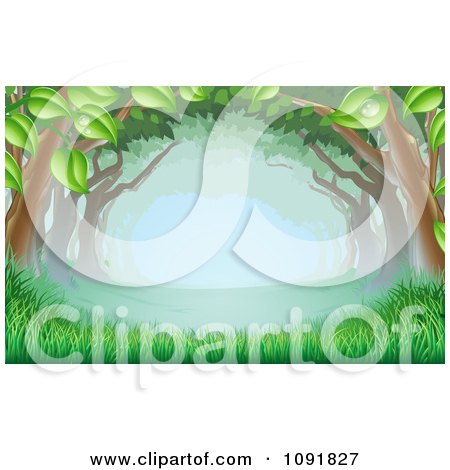 Clipart Lush Trees Forming A Canopy Over Grass In The Woods - Royalty Free Vector Illustration by AtStockIllustration