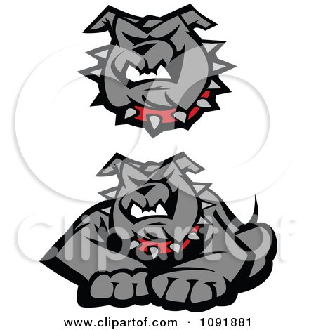 Clipart Gray Bulldog Face And Posed To Pounce - Royalty Free Vector Illustration by Chromaco