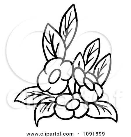 Clipart Outline Of Three Flowers And Leaves - Royalty Free Vector Illustration by dero