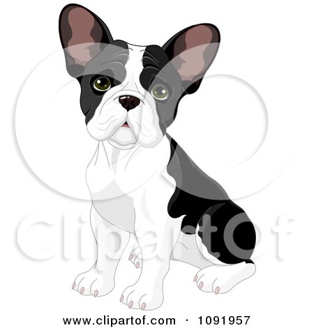 Clipart Cute Black And White Frenchie Bulldog Puppy Sitting - Royalty Free Vector Illustration by Pushkin