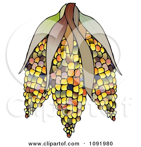 Clipart Colorful Indian Corn - Royalty Free Illustration by djart