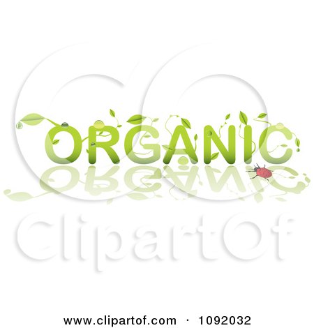 Clipart Green Dewey Leaves Forming Organic By A Ladybug And Reflection - Royalty Free Vector Illustration by michaeltravers