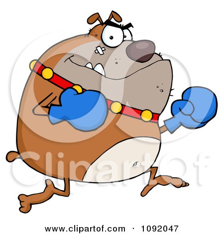 Clipart Brown Bulldog Boxer With Blue Gloves - Royalty Free Vector Illustration by Hit Toon