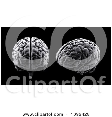Clipart 3d Human Brains On Black - Royalty Free CGI Illustration by Mopic
