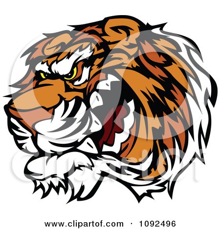 Clipart Angry Growling Tiger Mascot Head - Royalty Free Vector Illustration by Chromaco