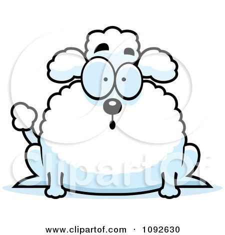 Clipart Chubby Surprised Poodle - Royalty Free Vector Illustration by Cory Thoman